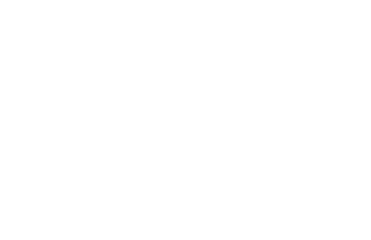 Citem Logo